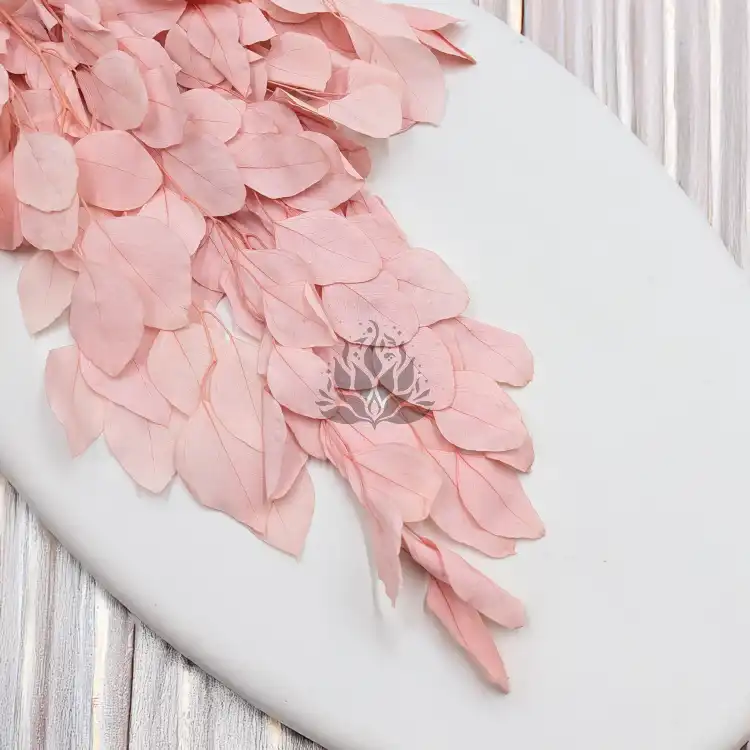 POPULUS ROYAL LT PINK 2.png
