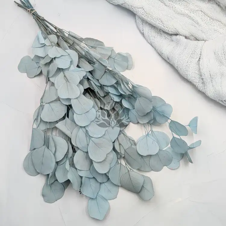POPULUS ROYAL LT BLUE 1.png