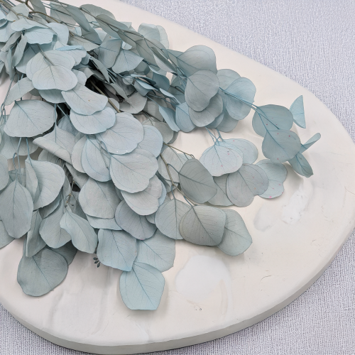 POPULUS ROYAL LT BLUE 3.png