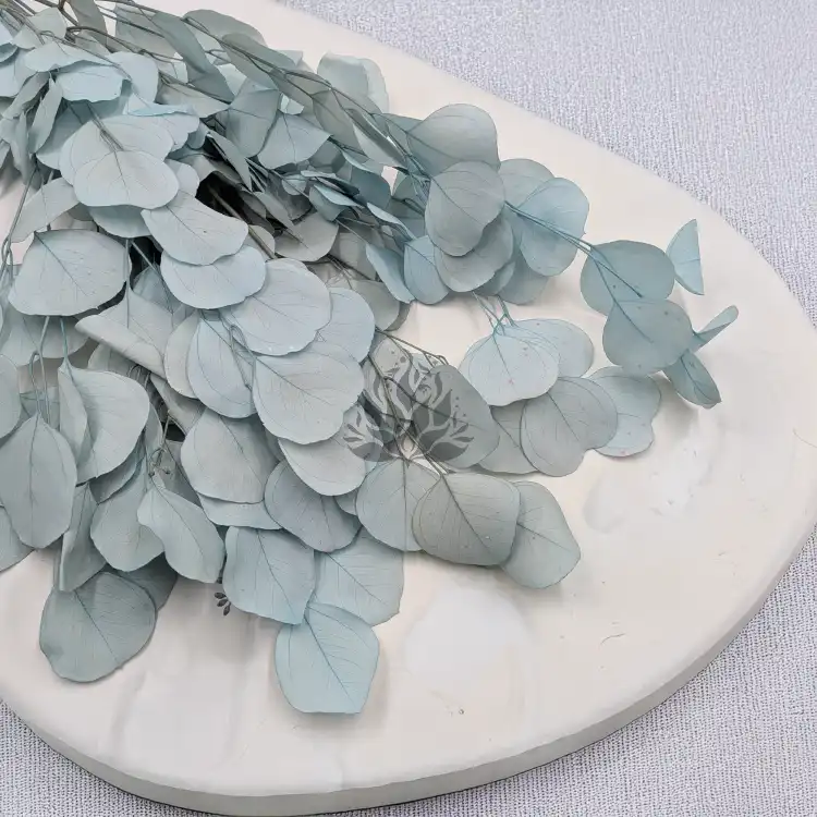 POPULUS ROYAL LT BLUE 3.png