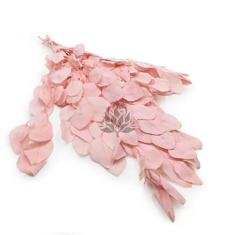 POPULUS ROYAL LT PINK 0.png