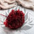 Hydrangea Royal Burgund 5.png