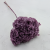 HYDRANGEA LAVENDER ROYAL 24 1.png