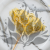 HYDRANGEA SOFT YELLOW ROYAL 11 3.png