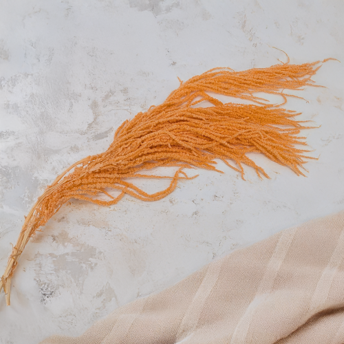 Szarlat Peach Royal 4.png