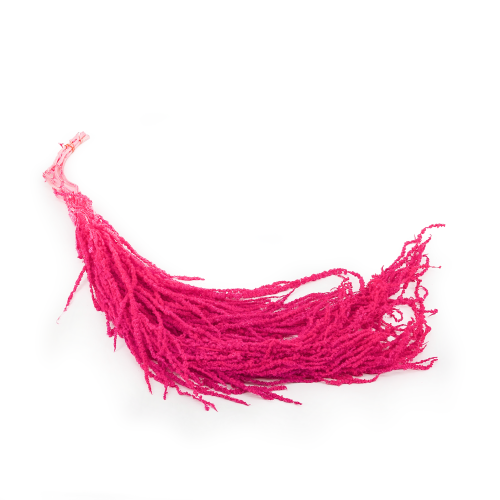 Szarlat Fuchsia Royal.png