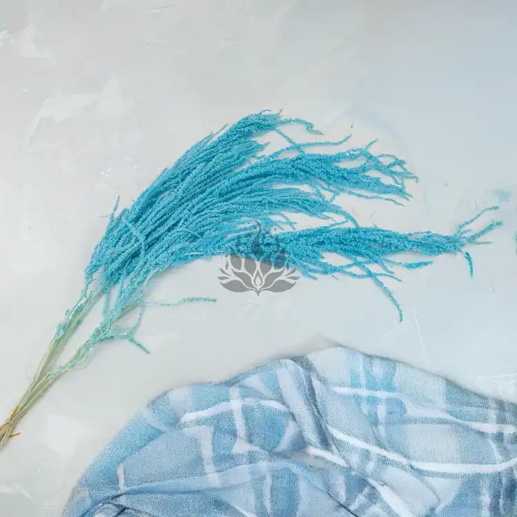 Szarlat Mint Blue Royal 2.png
