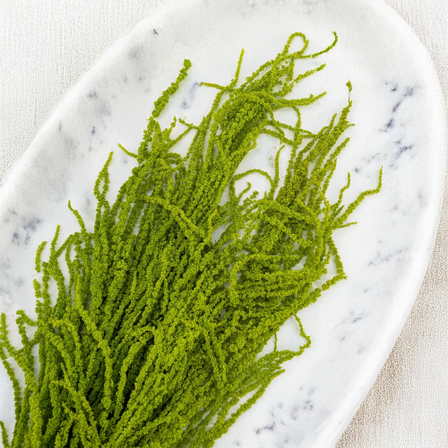 Szarlat Lt Green Royal 3.png