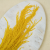 Szarlat zolty Royal 3.png