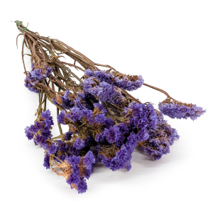 Statice stabilisé – Limonium sinuatum – Violet