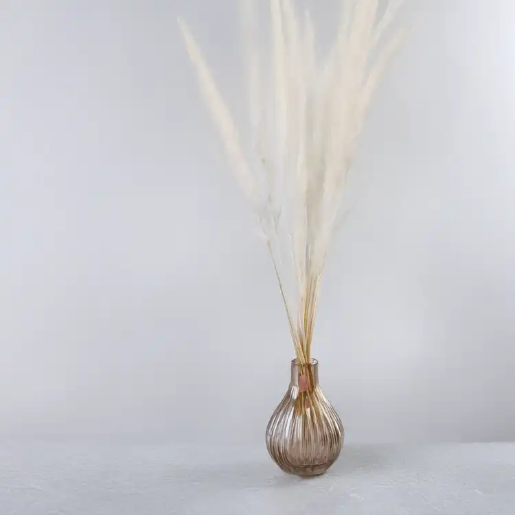 Mini pampas ch 3.png