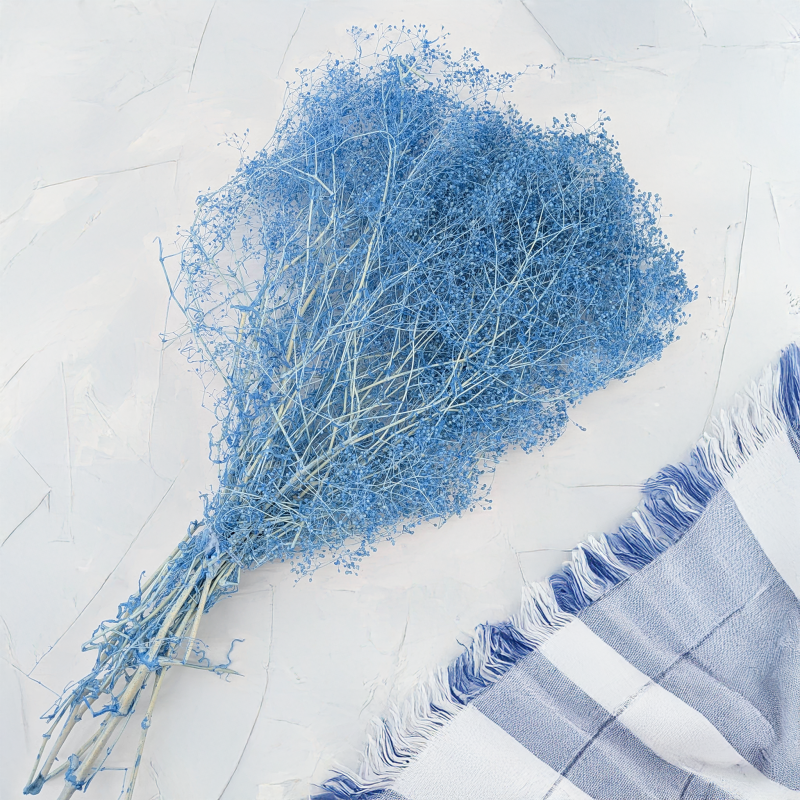 Gips mini niebieska 3.png