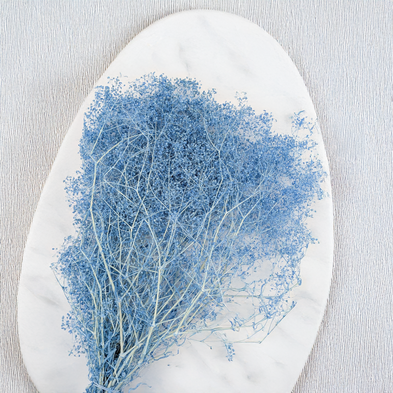 Gips mini niebieska 4.png