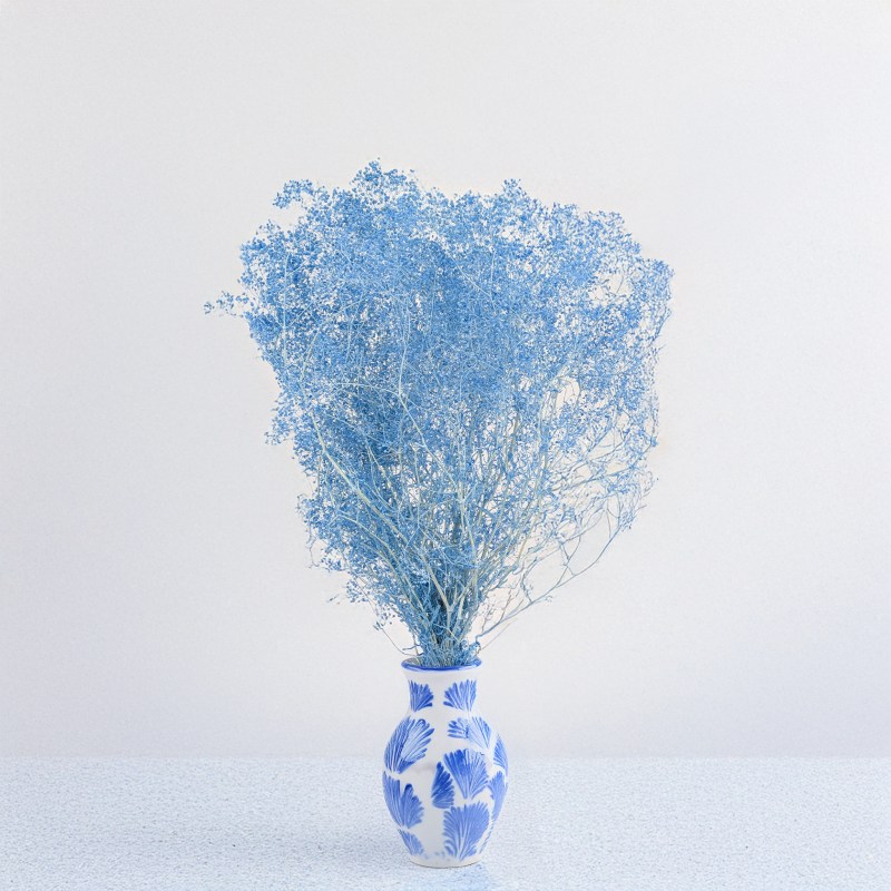 Gips mini niebieska 5.png