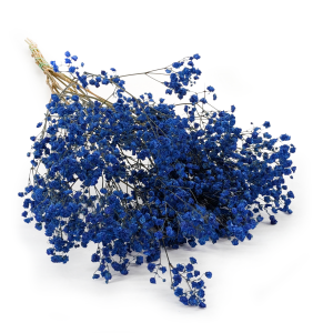 Gypsophile Stabilisée – Bleu Pastel