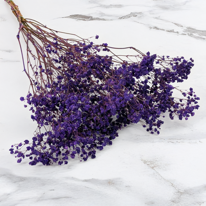 Gips pastel fiolet 1.png