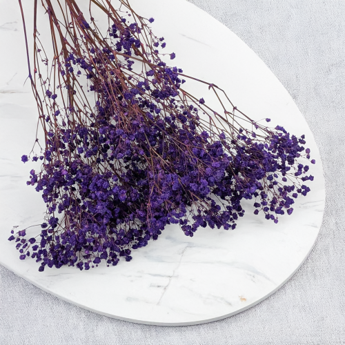 Gips pastel fiolet 2.png