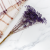 Gips pastel fiolet 3.png
