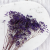 Gips pastel fiolet 4.png