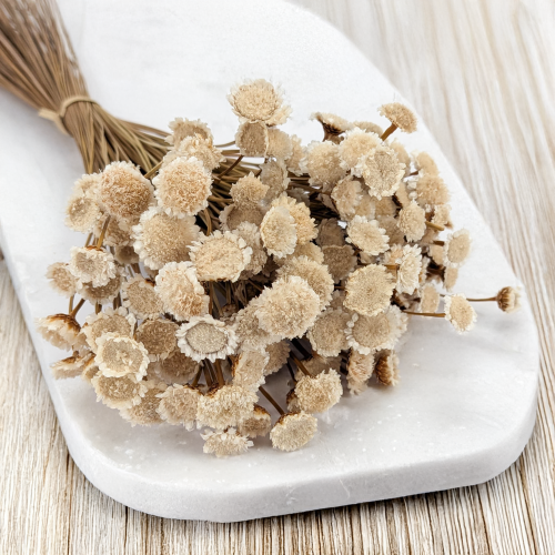 Glixia Big naturalna 2.png