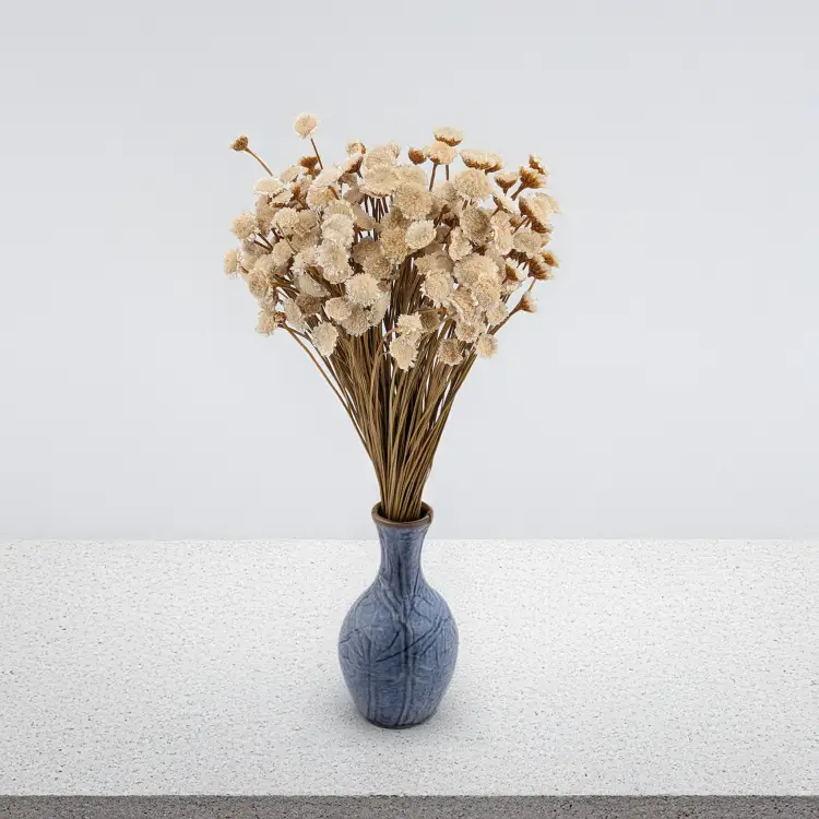 Glixia Big naturalna 5.png