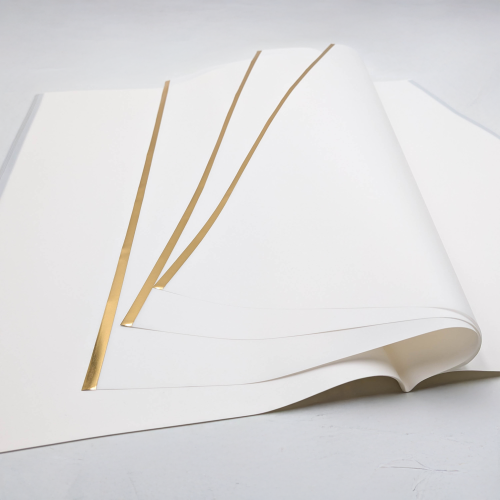 P-HXQ001GD 011 111 white 1.png