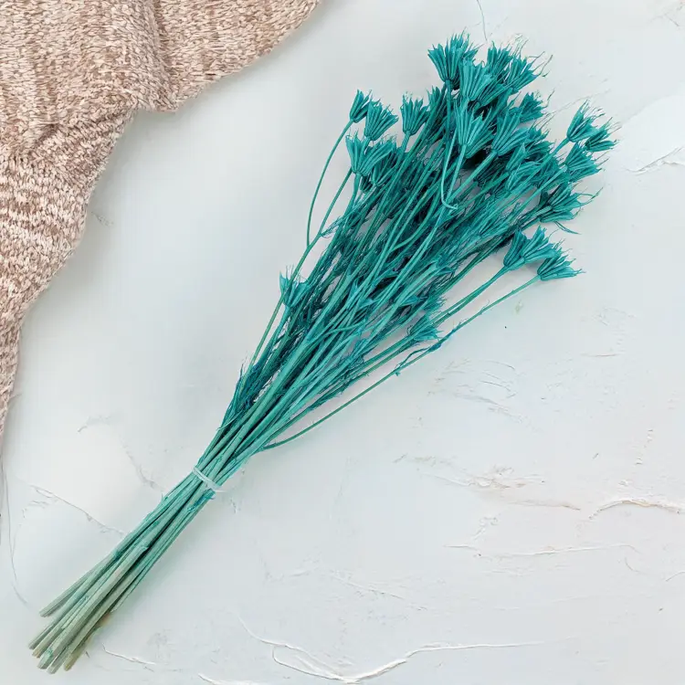 Nigella mięta 2.png