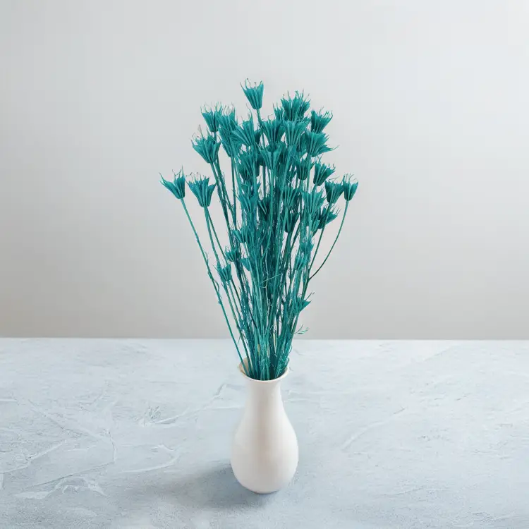 Nigella mięta 4.png