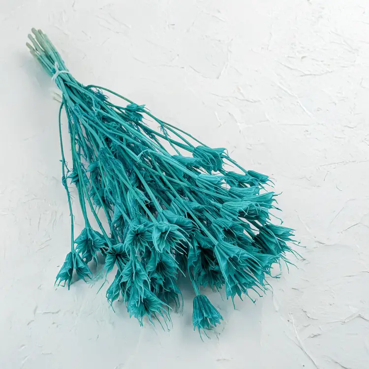 Nigella mięta 5.png