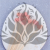 Kraspedia rozowa lt 4.png