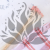 Kraspedia rozowa lt 3.png