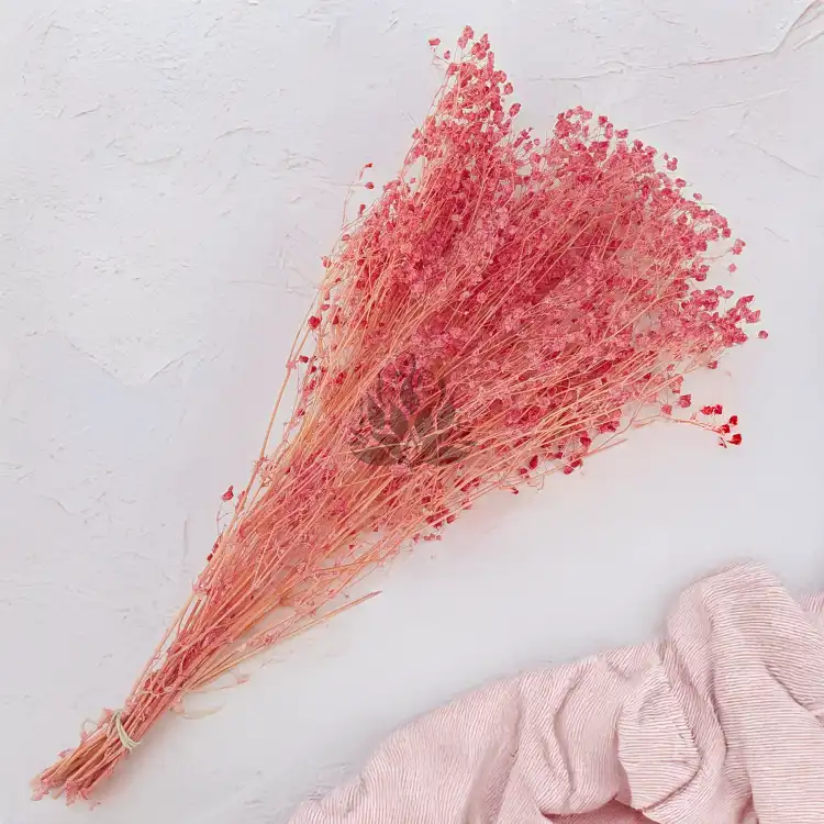 gips royal raspberry 3.png