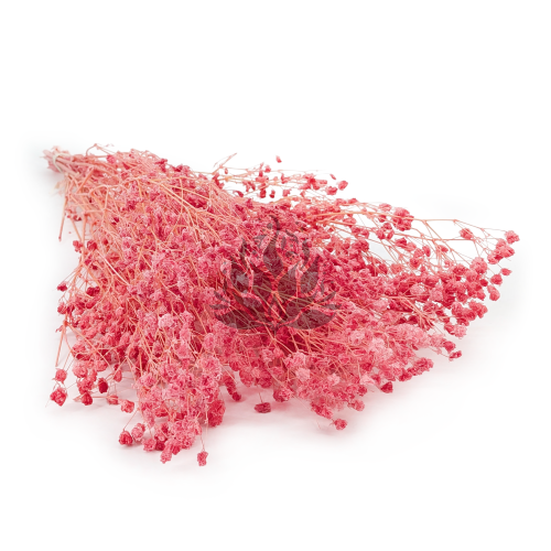 gips royal raspberry 0.png