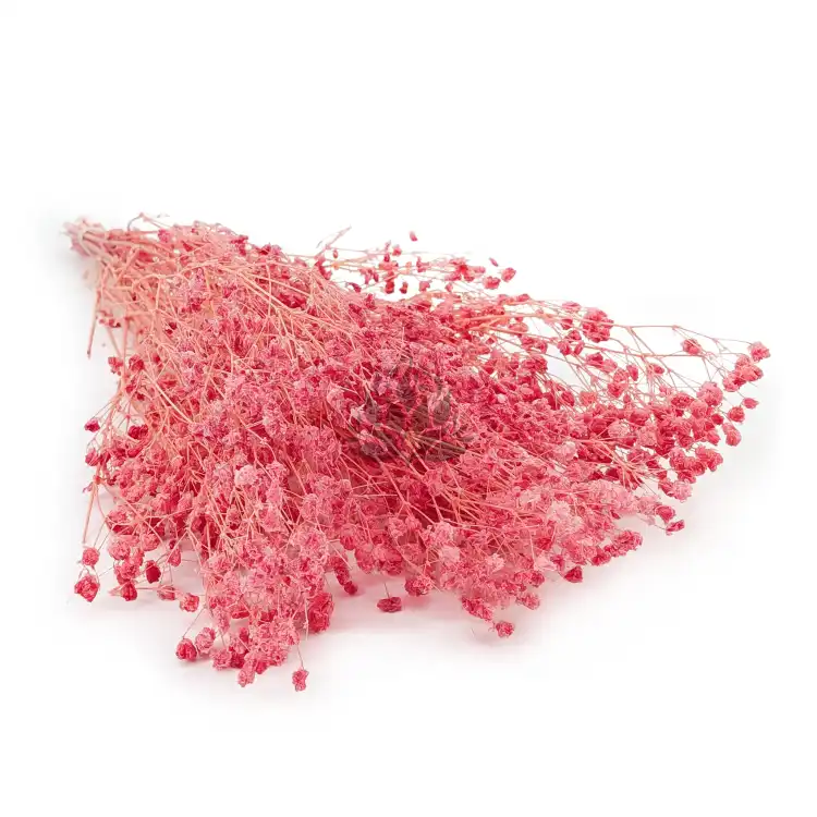 gips royal raspberry 0.png