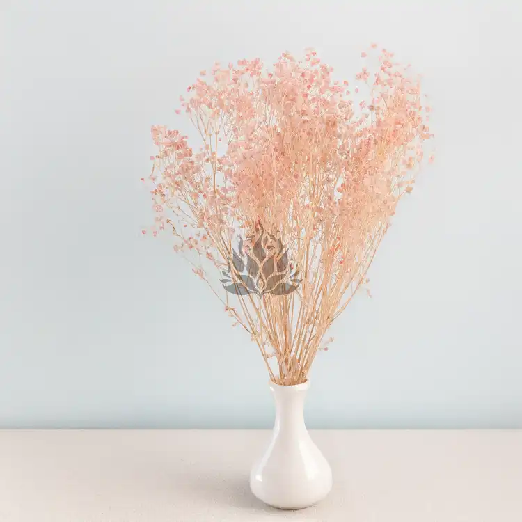 Gips royal Soft Pink 5.png