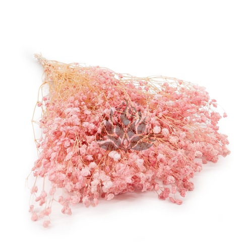 gips royal baby pink.png