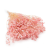 gips royal baby pink.png