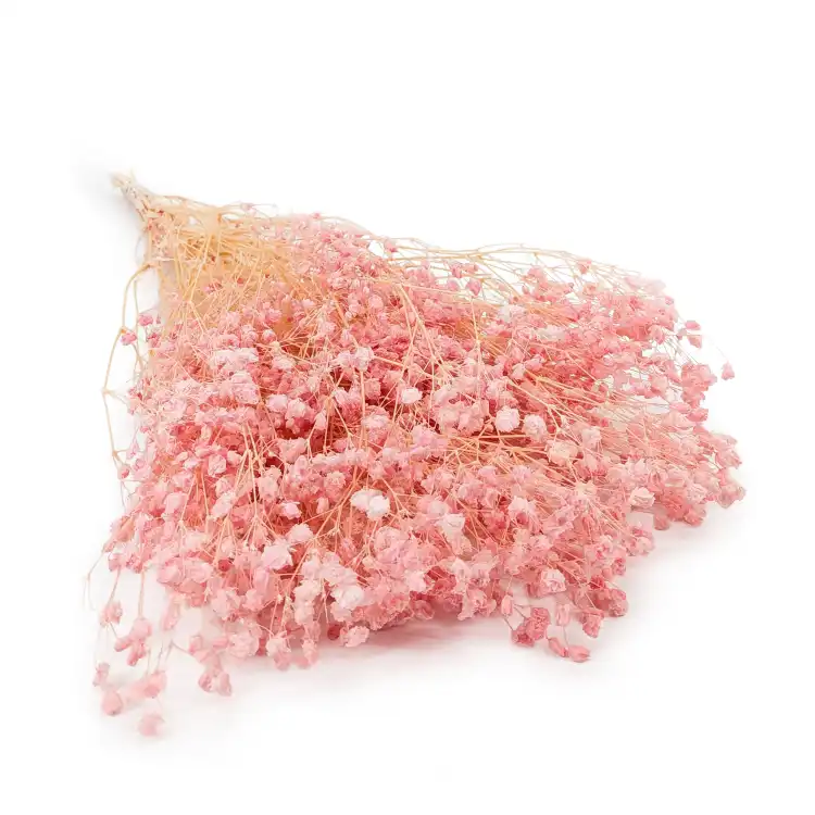 gips royal baby pink.png