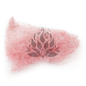 Gips Mini Różowa.png