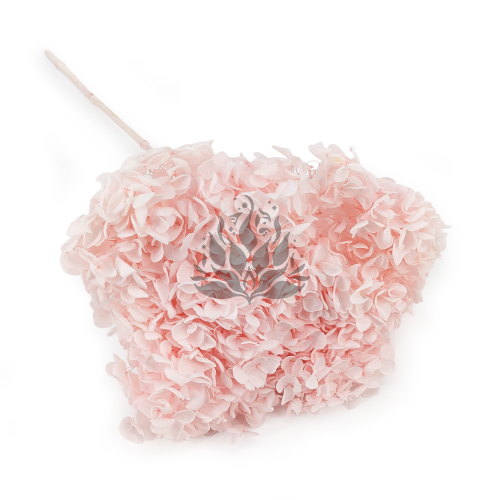 Hortensja Royal Powder Pink.png