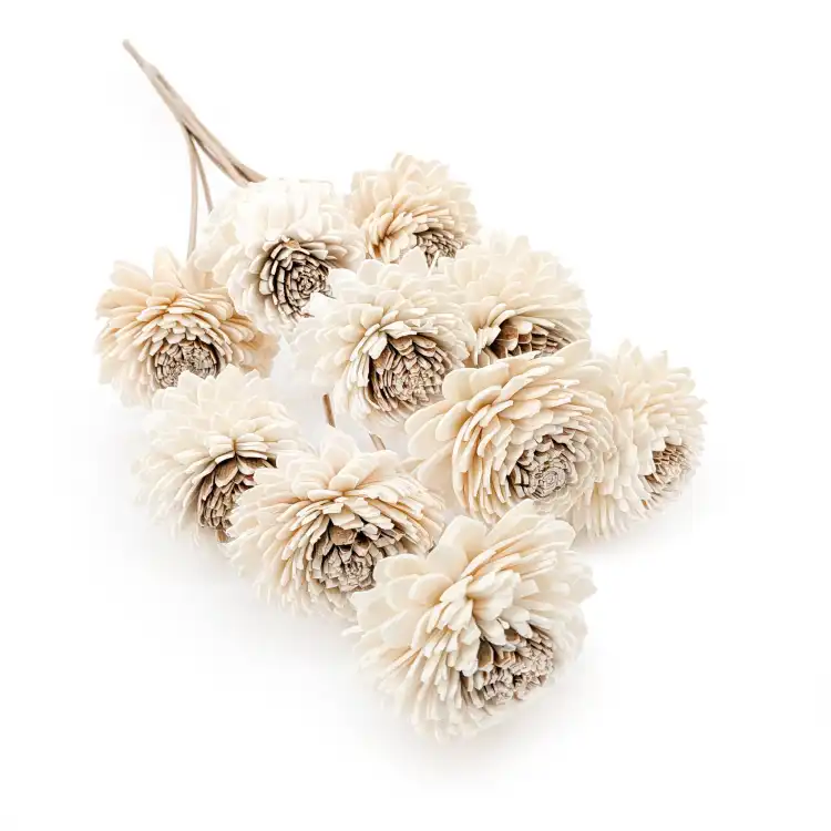 Shola - sola - Skin Zinnia bukiet 10szt.png