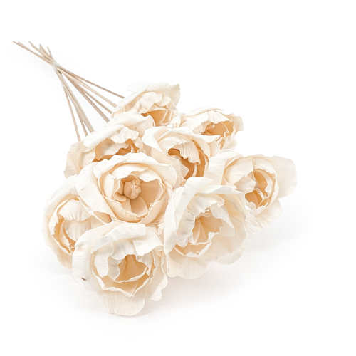 Shola - sola - Peony bukiet 10szt.png