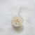 Shola Carnation 3.png