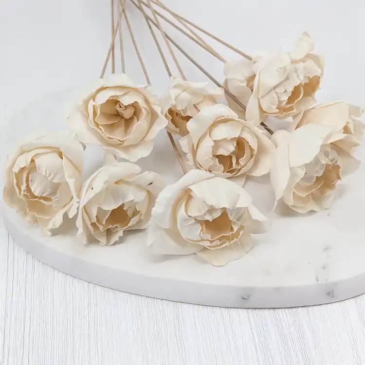 Shola Peony 1.png