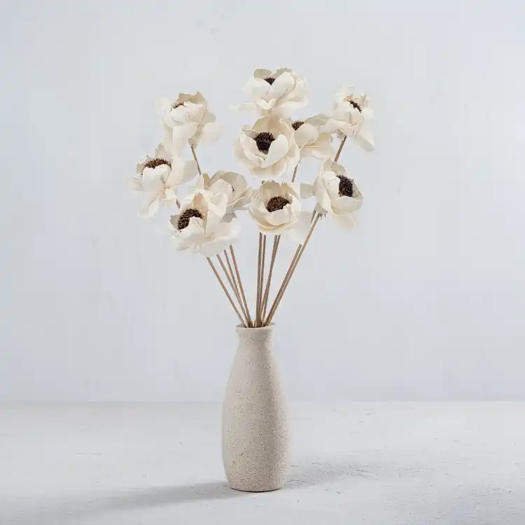Shola Peony Titonia.png
