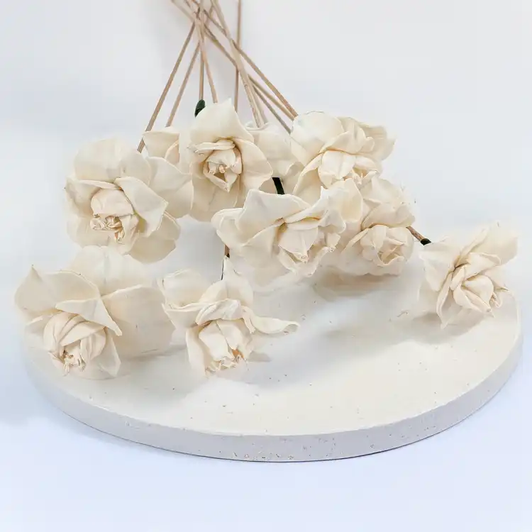 Shola Begonia 2.png