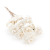 Shola - sola - Begonia bukiet 10szt.png