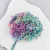 Hydrangea two tone Green 3.png