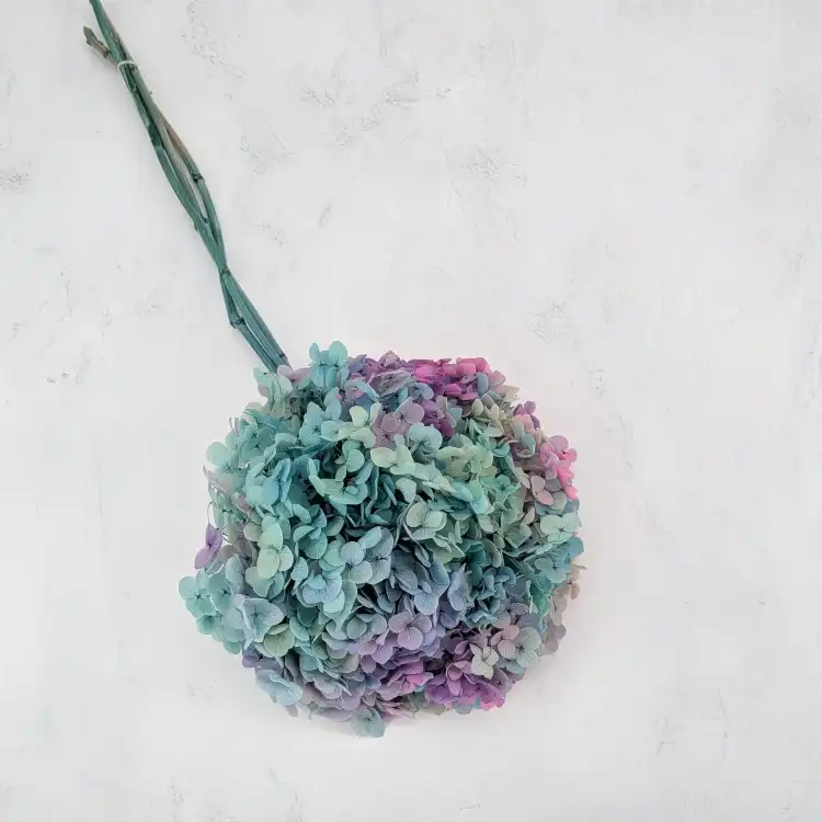 Hydrangea two tone Green 1.png
