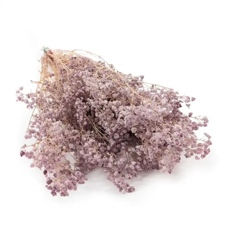 Gips dusty lavender 13 bb.png